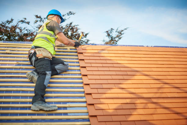 Best Roof Coating and Sealing  in Nettleton, MS